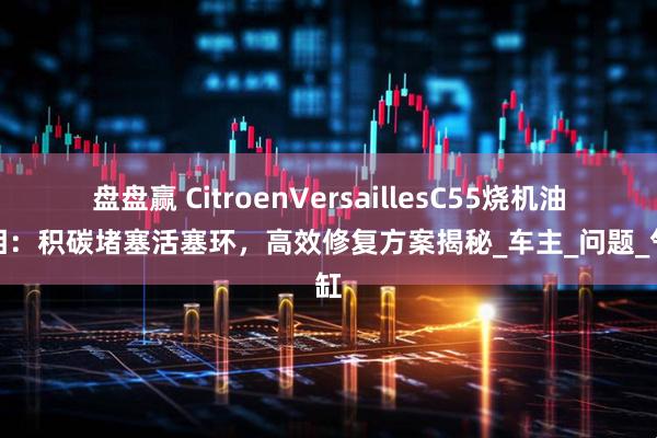 盘盘赢 CitroenVersaillesC55烧机油真相：积碳堵塞活塞环，高效修复方案揭秘_车主_问题_气缸