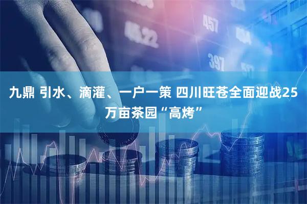 九鼎 引水、滴灌、一户一策 四川旺苍全面迎战25万亩茶园“高烤”