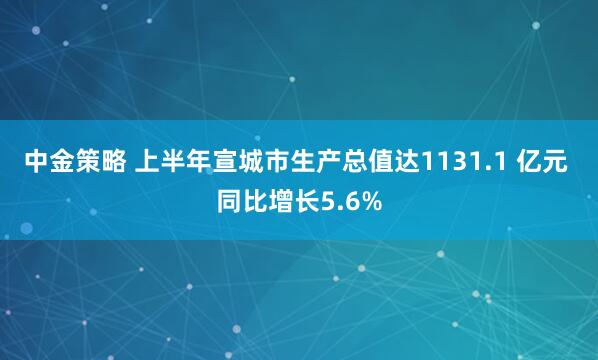中金策略 上半年宣城市生产总值达1131.1 亿元 同比增长5.6%